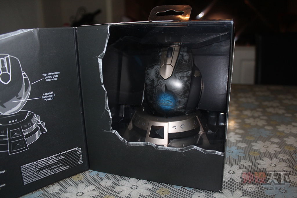 ���㽭�������WOW�������  ���� �ڱ���APEX �Ųʰ�  ���� �ڱ�