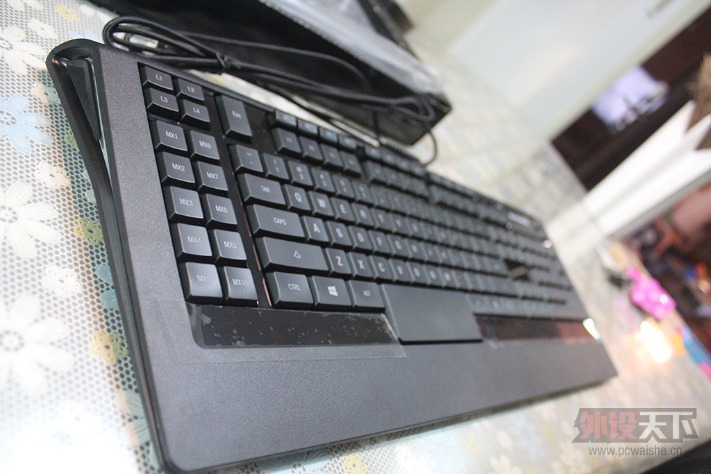 ���㽭�������WOW�������  ���� �ڱ���APEX �Ųʰ�  ���� �ڱ�