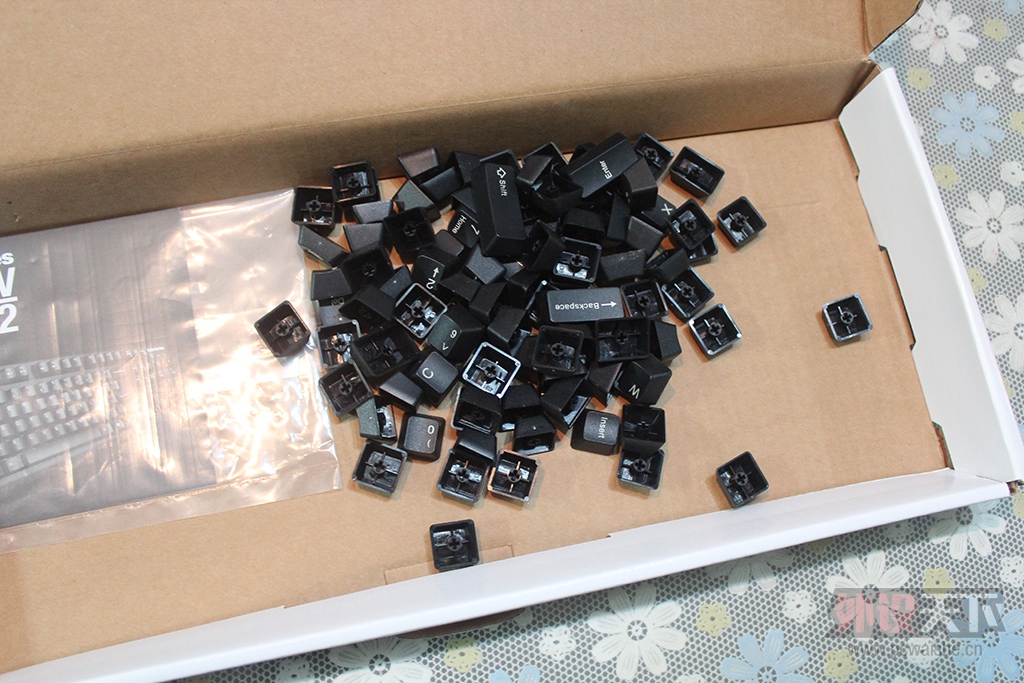 ���㽭�������WOW�������  ���� �ڱ���APEX �Ųʰ�  ���� �ڱ�