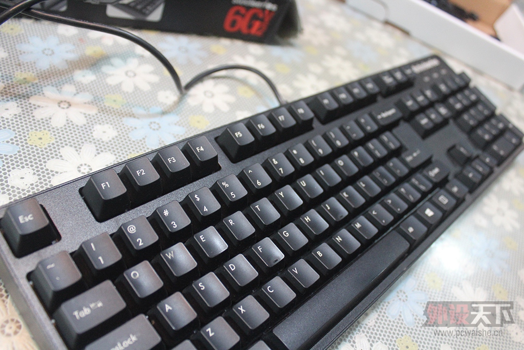 ���㽭�������WOW�������  ���� �ڱ���APEX �Ųʰ�  ���� �ڱ�