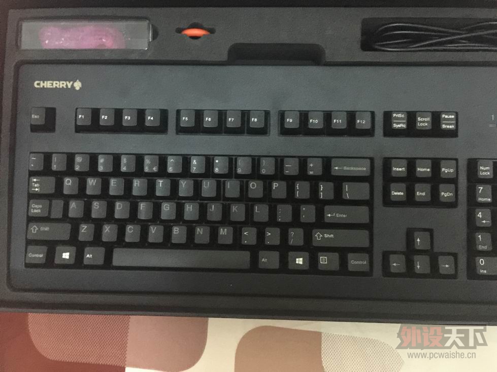 ������С IMG_0904.JPG