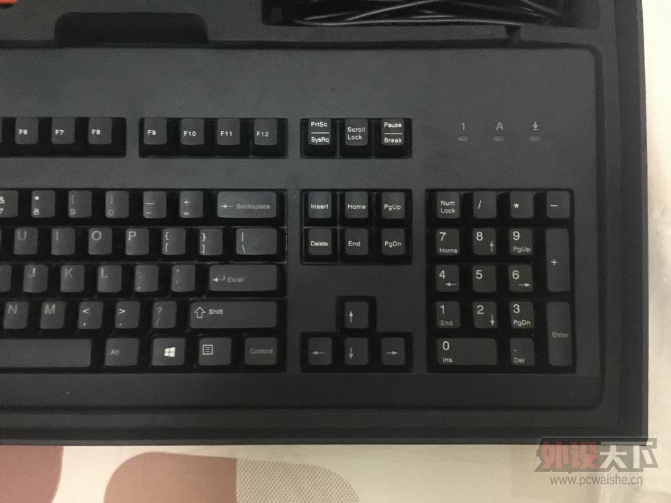 ������С IMG_0905.JPG