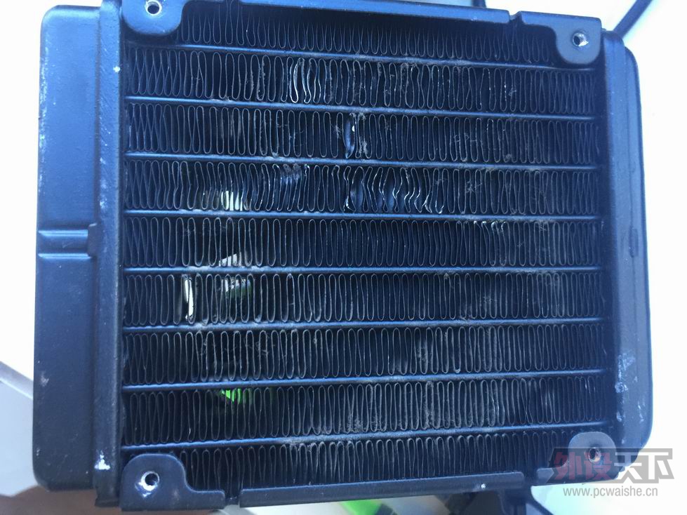 ������С IMG_0981.JPG