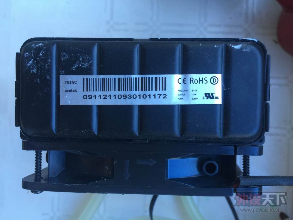 ������С IMG_0980.JPG