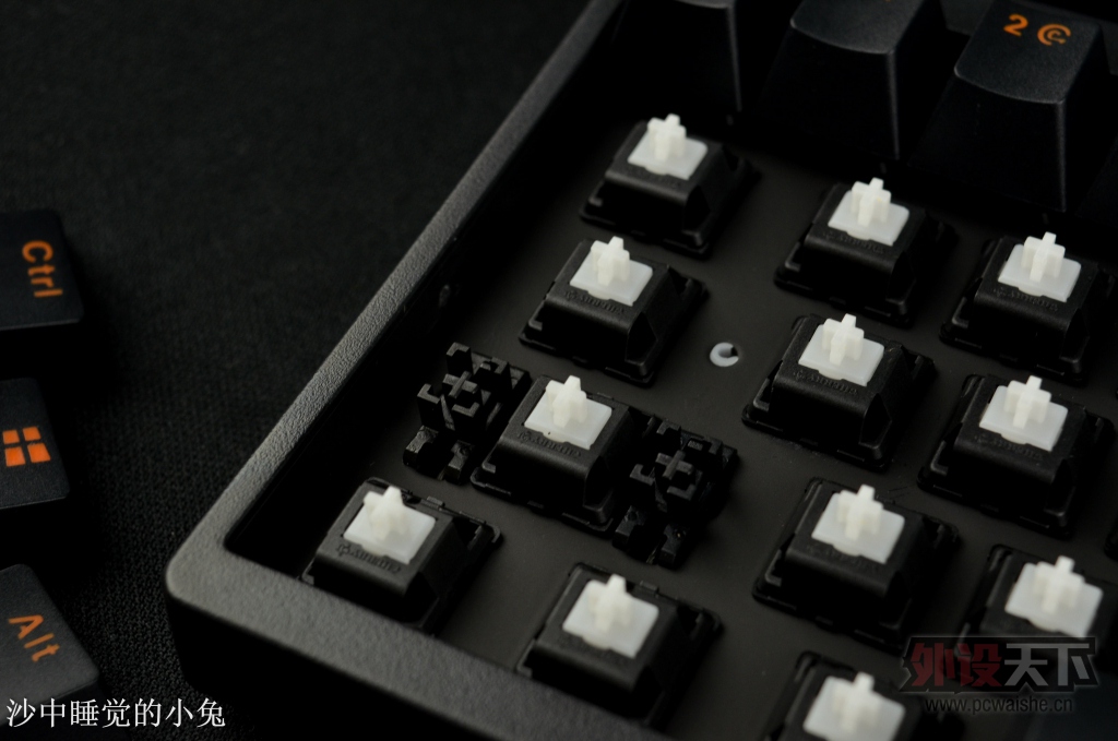 �Լ۱Ȼ����Լ۱ȣ�CHERRYϡ����+�ڳȶ�ɫ��ñ = GANSS 104 �����е���̵��ְ���