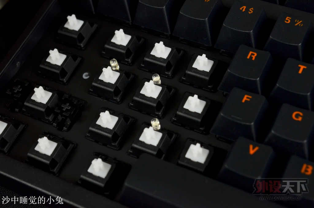 �Լ۱Ȼ����Լ۱ȣ�CHERRYϡ����+�ڳȶ�ɫ��ñ = GANSS 104 �����е���̵��ְ���