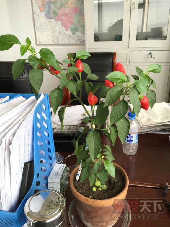 ���񰲸������⣿�����޼�G502����Ӧ��Ϸ���ʹ���ĵ�