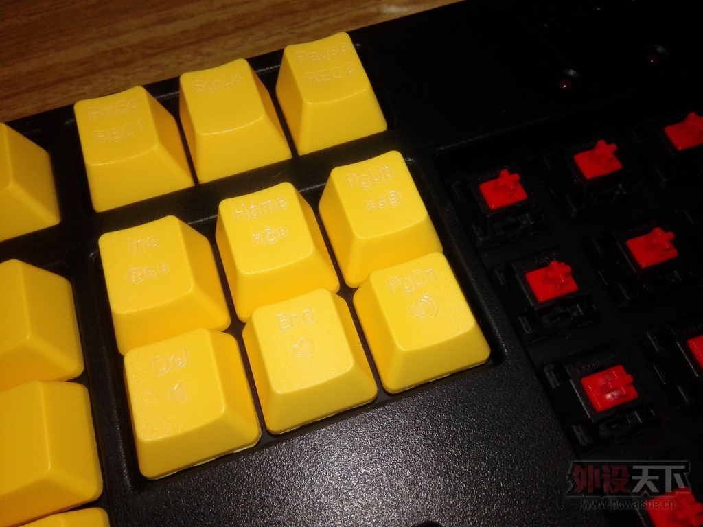 ��������С��Ѽ87��ͬ��PBT��ñ