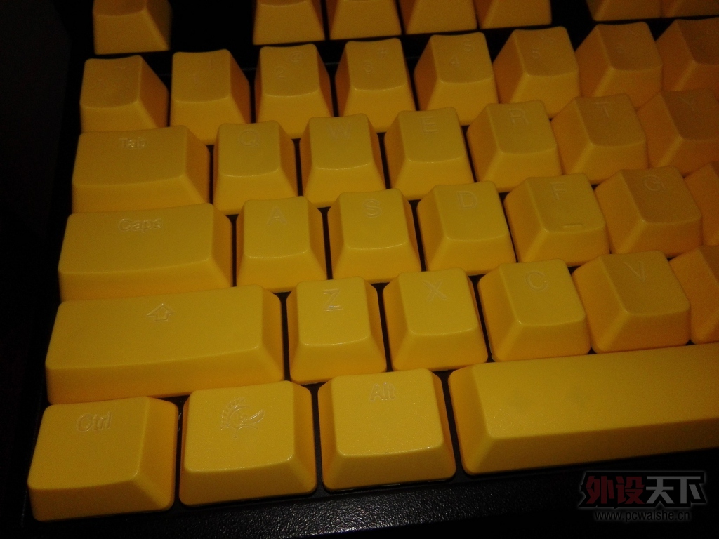 ��������С��Ѽ87��ͬ��PBT��ñ