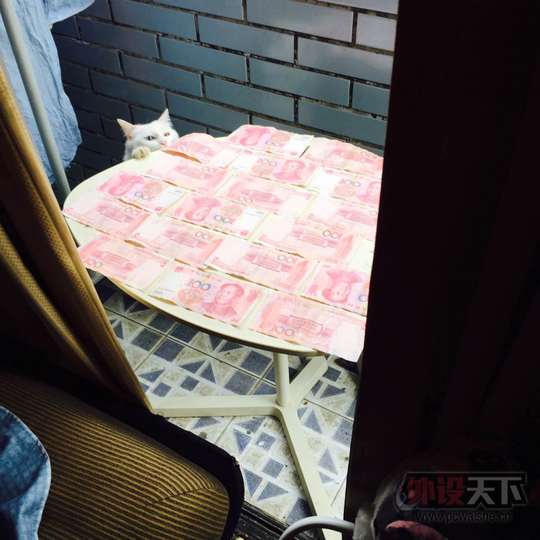 ��ʲô����SHOW����ѧ����ҵ��������