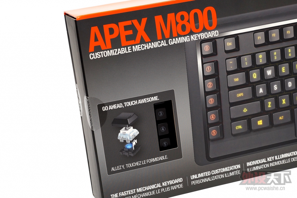 桰̰ߡ RGB    APEX M800 RGB е