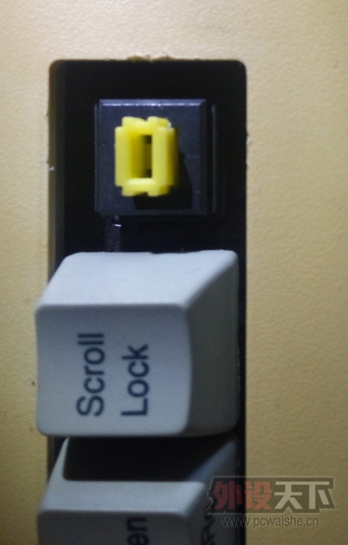 ss.jpg