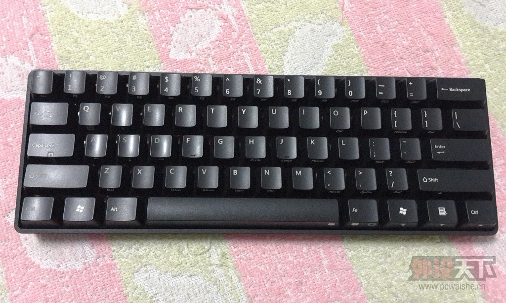 ���㶫���ѳ��������