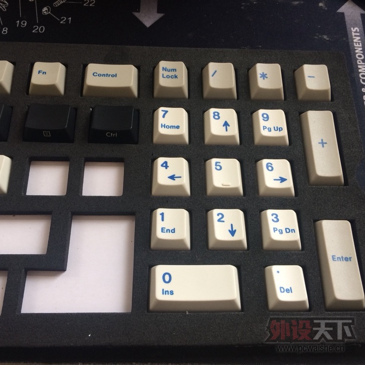 ��ɽ������FILCO��̸��Ұ�������