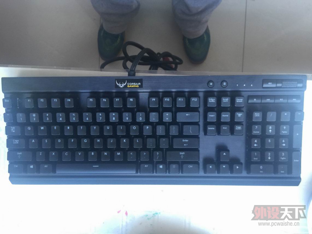 ������С IMG_1227.JPG