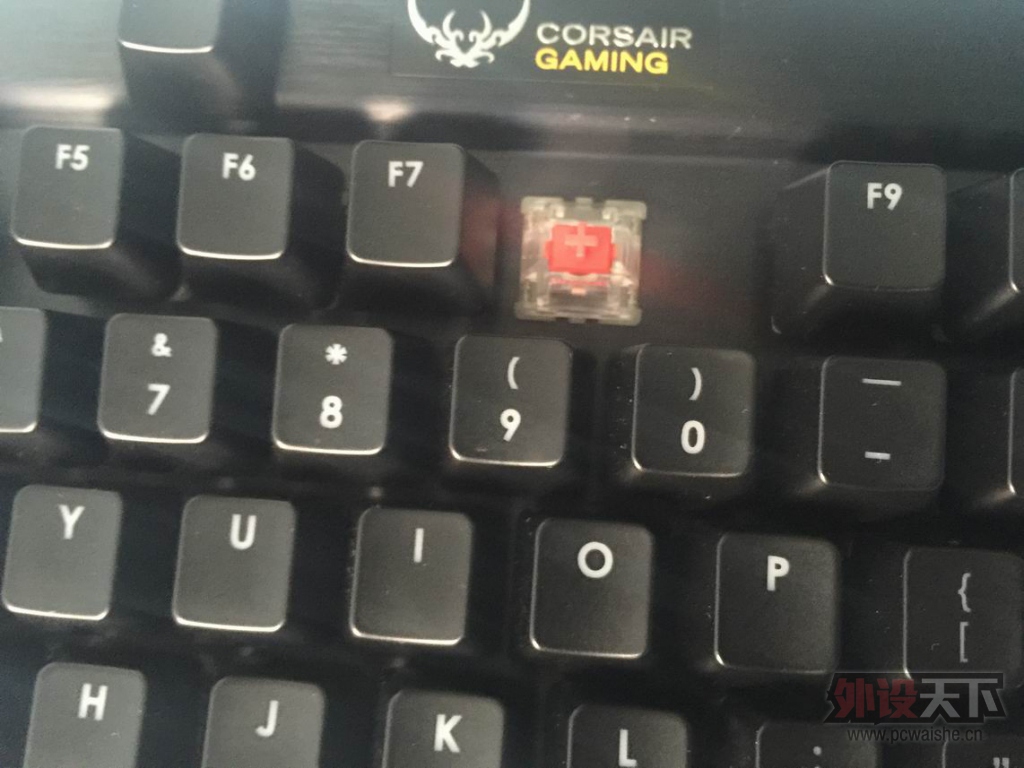 ������С IMG_1231.JPG