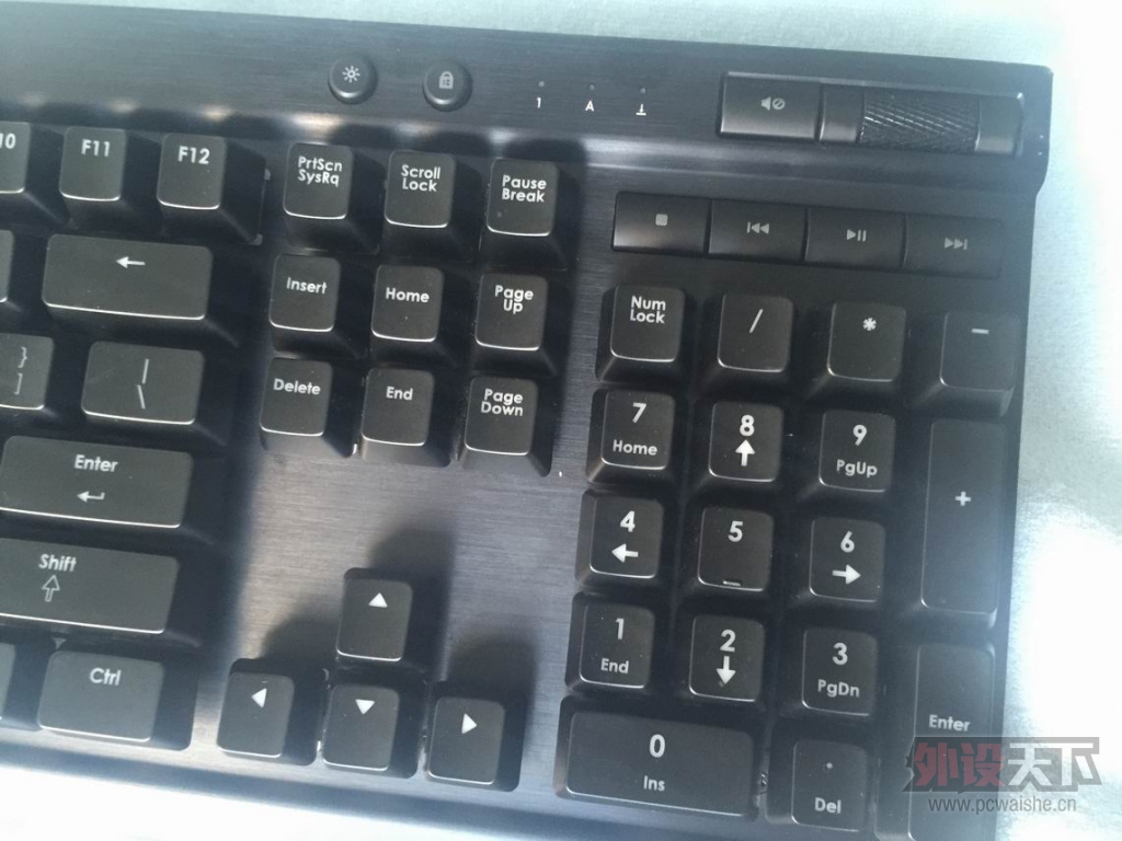 ������С IMG_1233.JPG