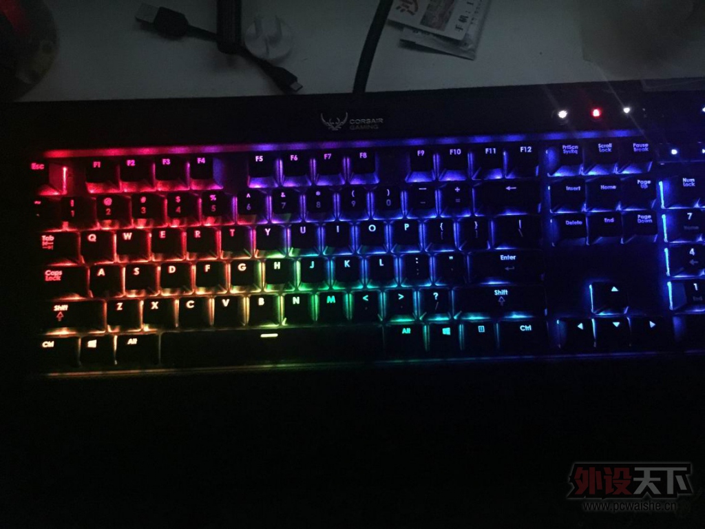 ������С IMG_1245.JPG