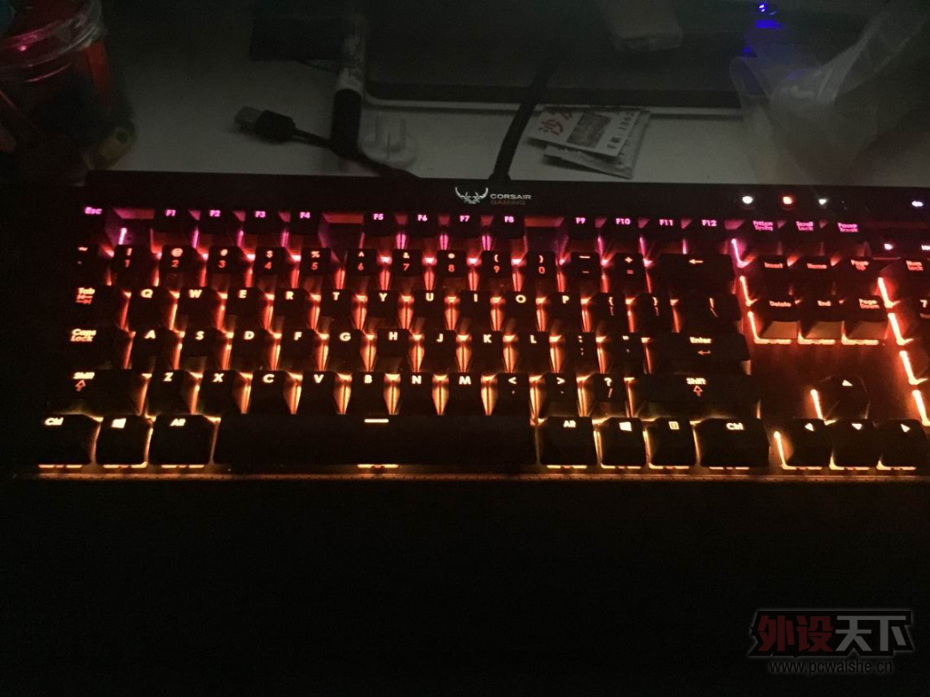 ������С IMG_1248.JPG