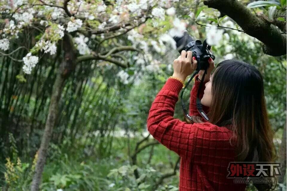 ���װ���ͶƱ����������˭�õ��޶���MXX�����ѹ���������н�������