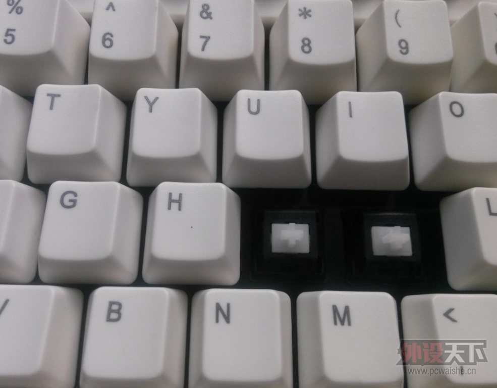 ������������һ��87 ��ɫӣ�Ұ���