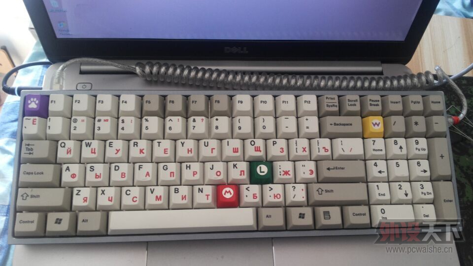 ���㽭�� ���ƻ�DUCK V2  96 62�����Ȱβ� ֧�ֻ���