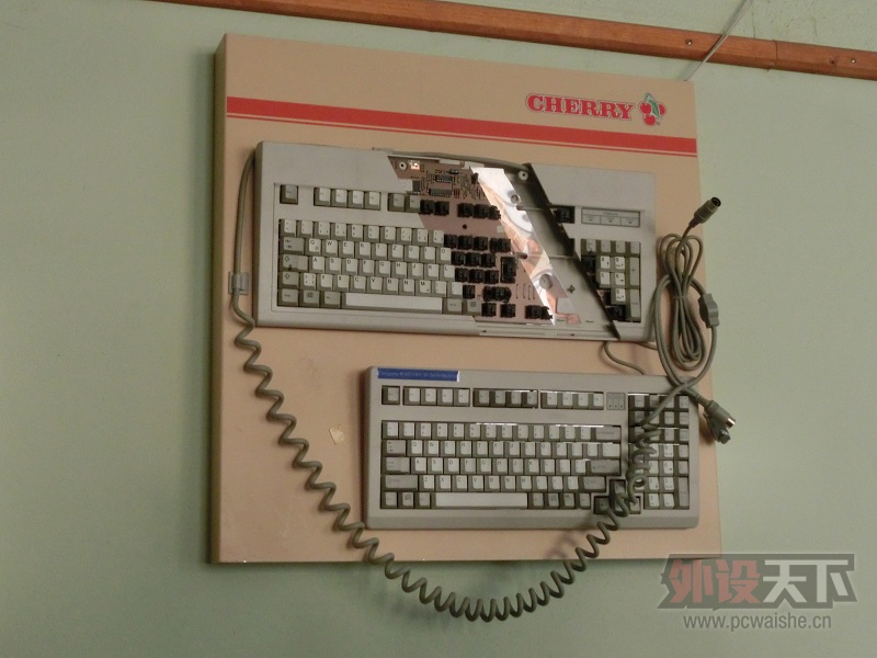 2015Cherry�¹�����̽��֮���μ�