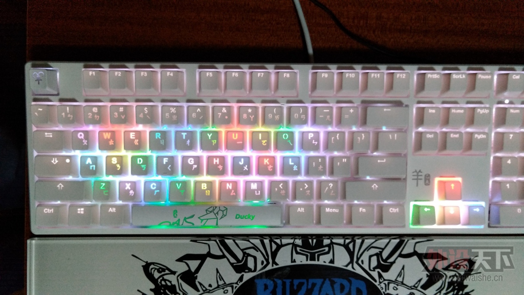 ��һ��Ѽ�ӵ�RGB
