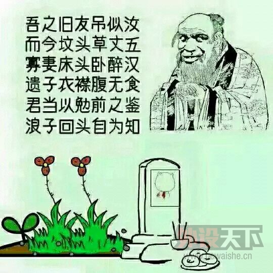 ������е���̵�һ�ۿ�������ʲô