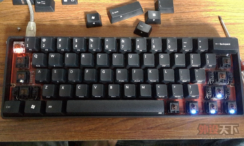 ���㶫���ѳ��������