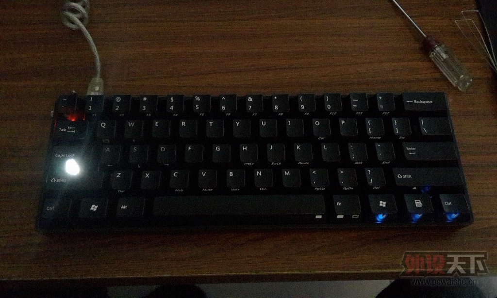 ���㶫���ѳ��������