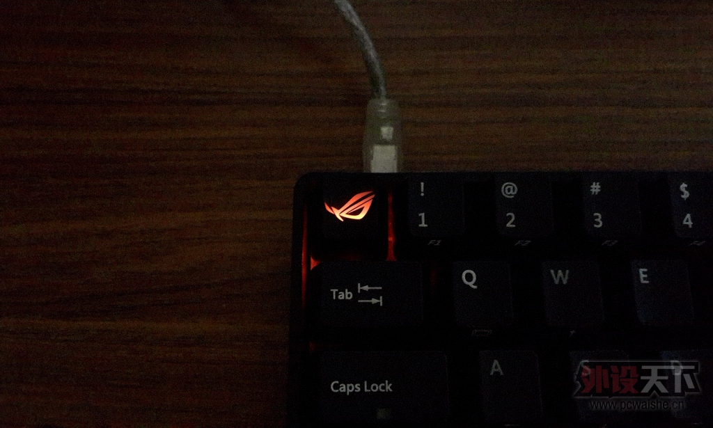 ���㶫���ѳ��������