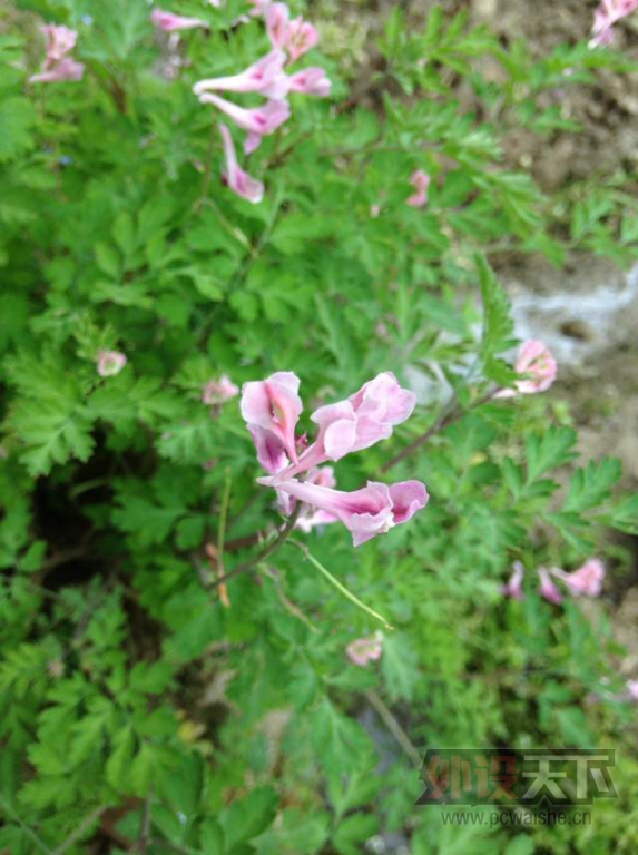IMG_3376.JPG