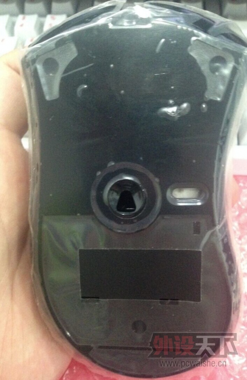 ���ɶ�������̬�����ȣ��۸��ѵ���������