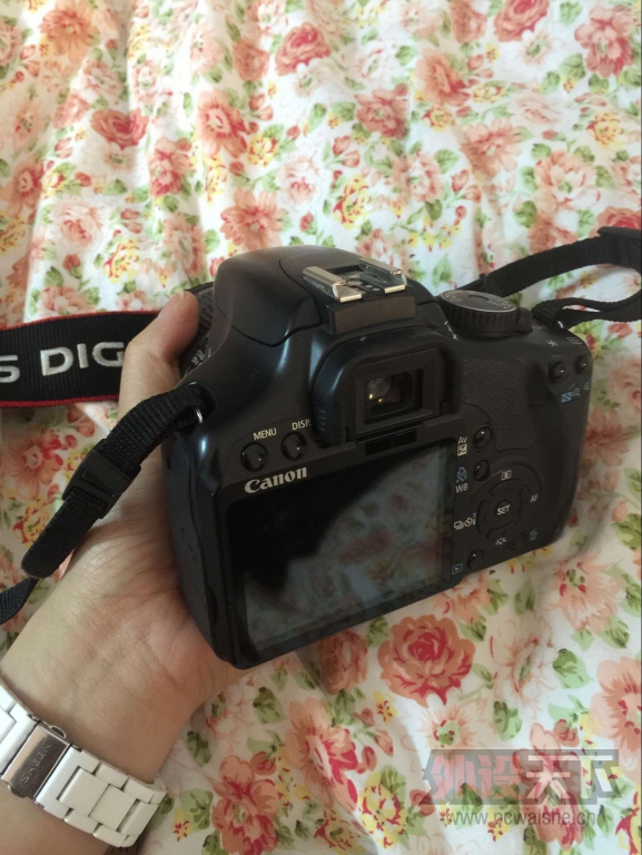 ���Ϻ���������450D�׻���EFS 55-250mm������ͷ����ʿfinepix s1770�����������