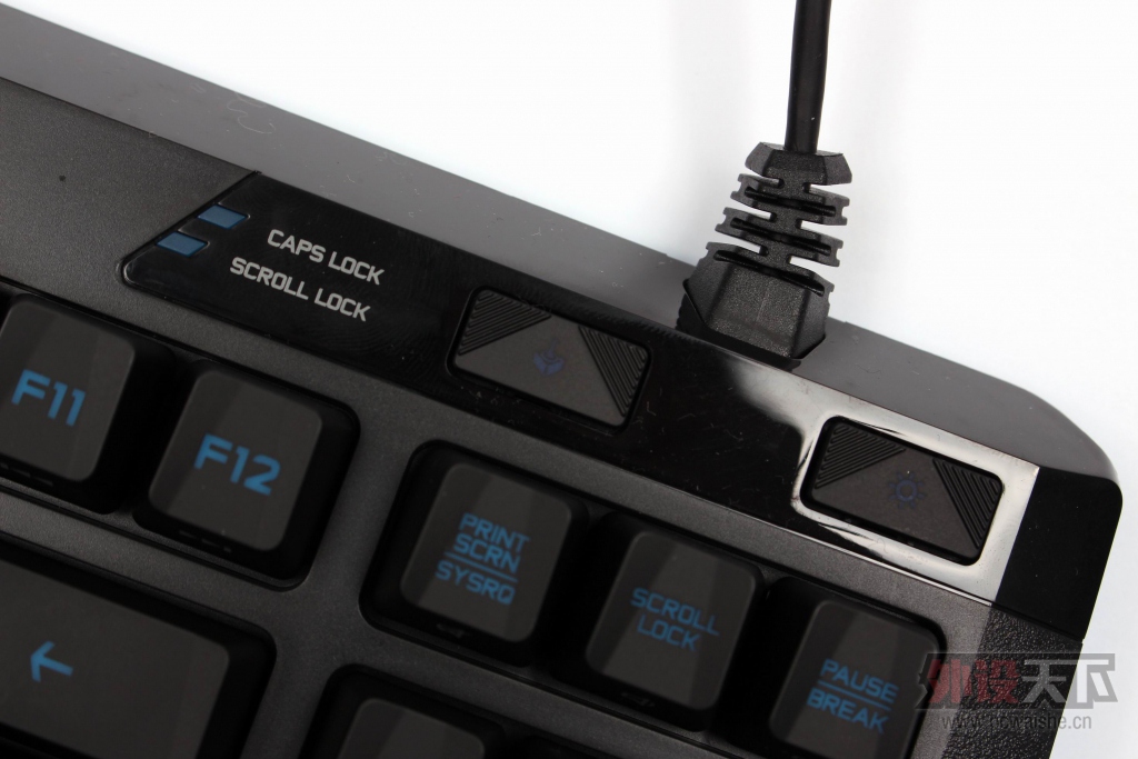 ޼G310 ATLAS DAWNϷе