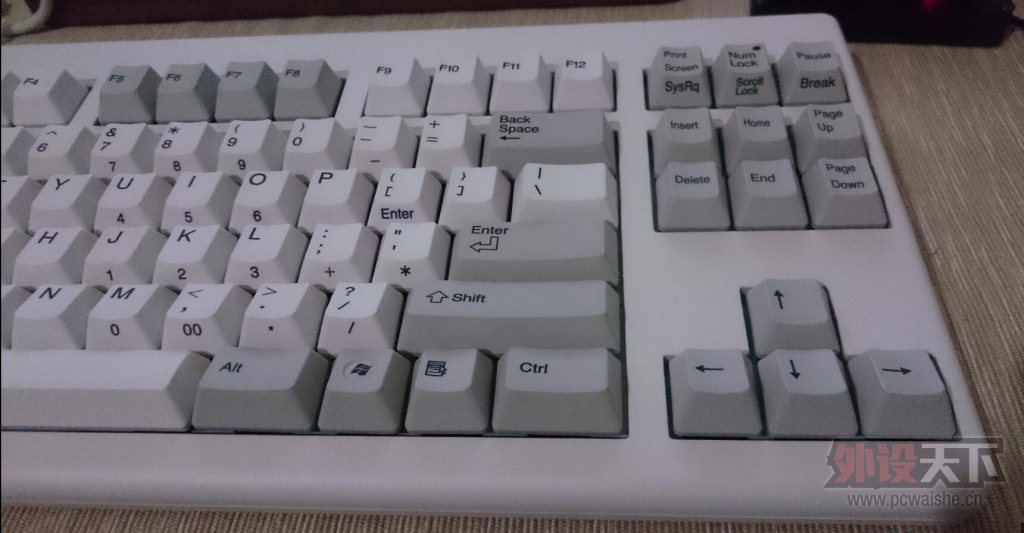 ���½���PURE ���� RF87 ȫ��55G ������