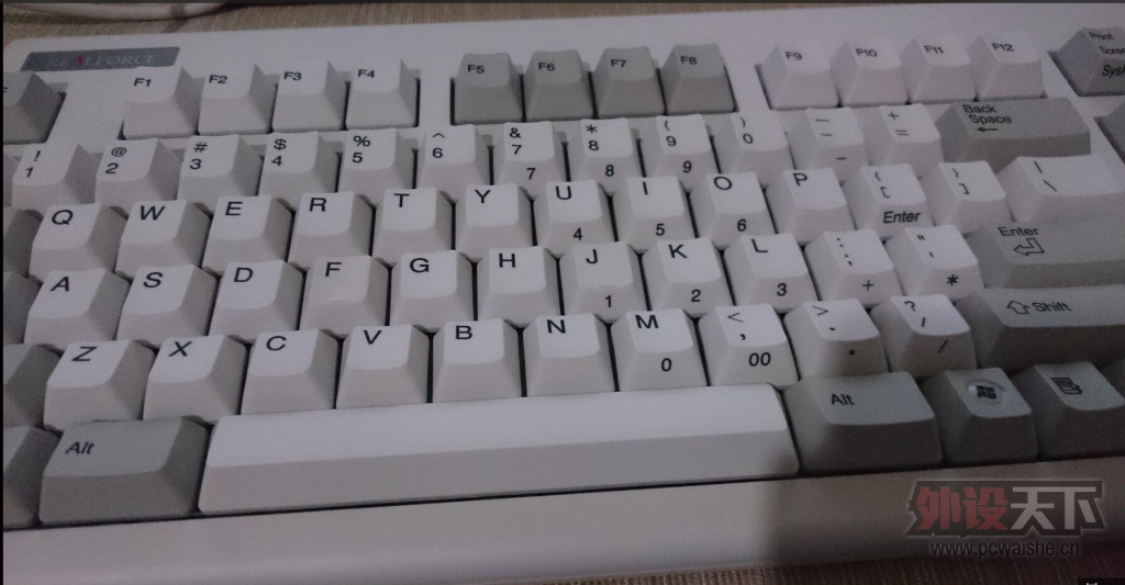 ���½���PURE ���� RF87 ȫ��55G ������