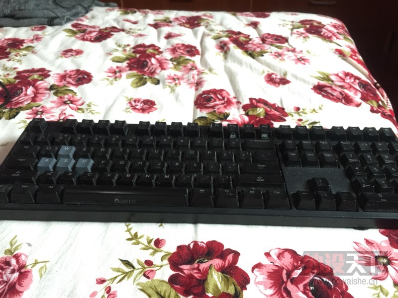 �����ݡ��������v1���� �Ե�