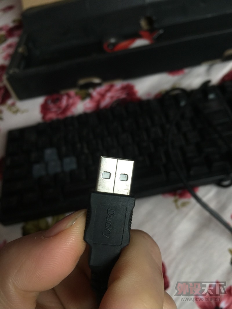 �����ݡ��������v1���� �Ե�