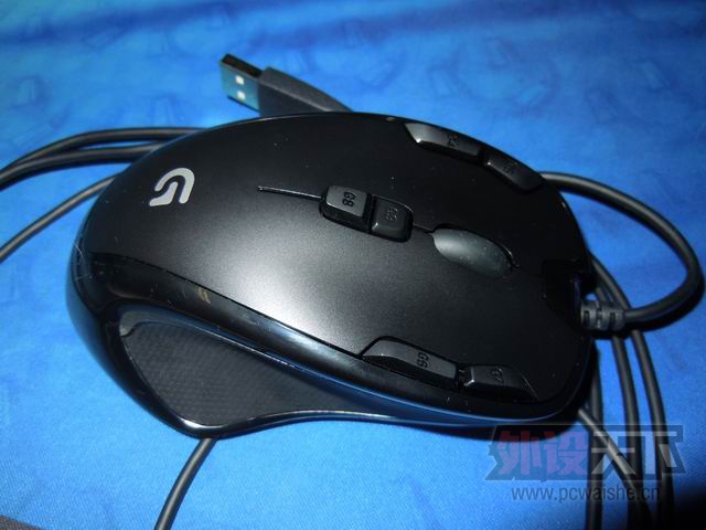 ������С DSCN5272.JPG