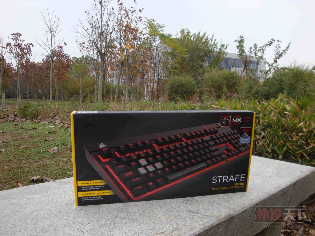 STRAFE ͽ--´Ա