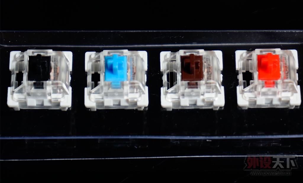 �������ս����еCIY����̼����������˽�˶���