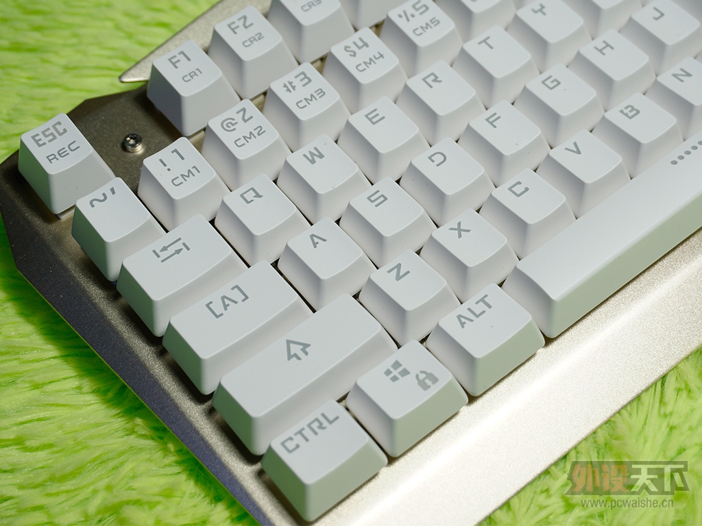 �������ս����еCIY����̼����������˽�˶���