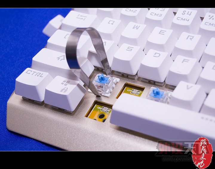 �������ս����е�������˧����