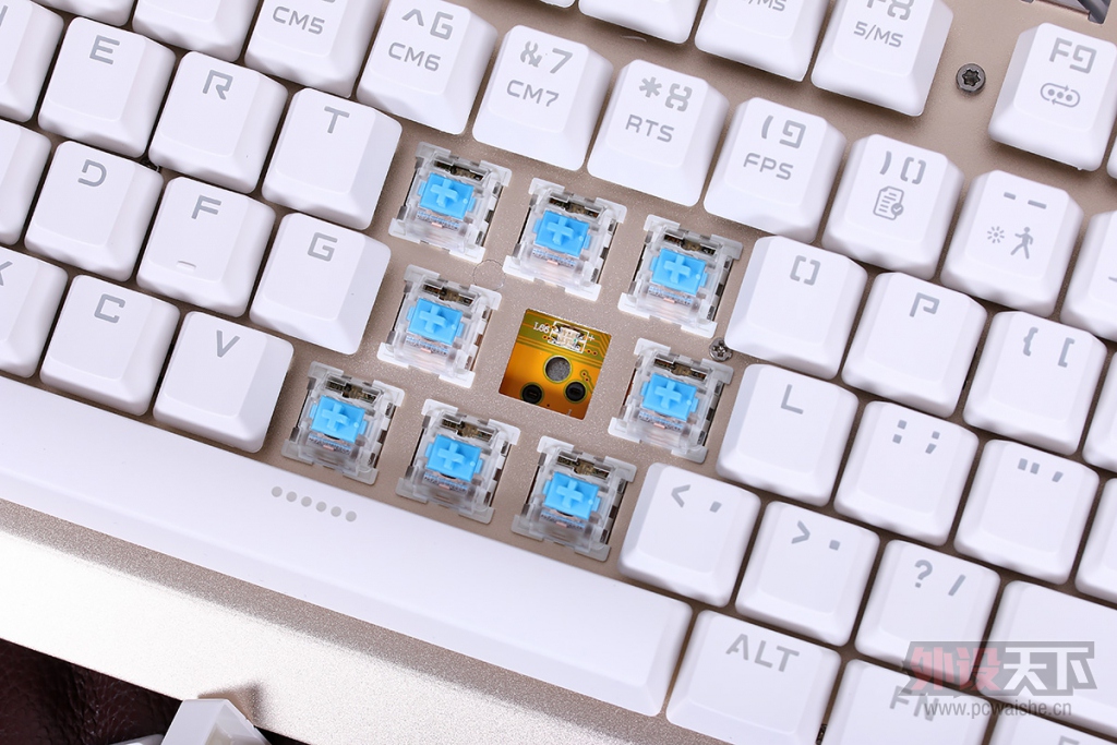 ��������������������ս�� CIY ���е���������棡