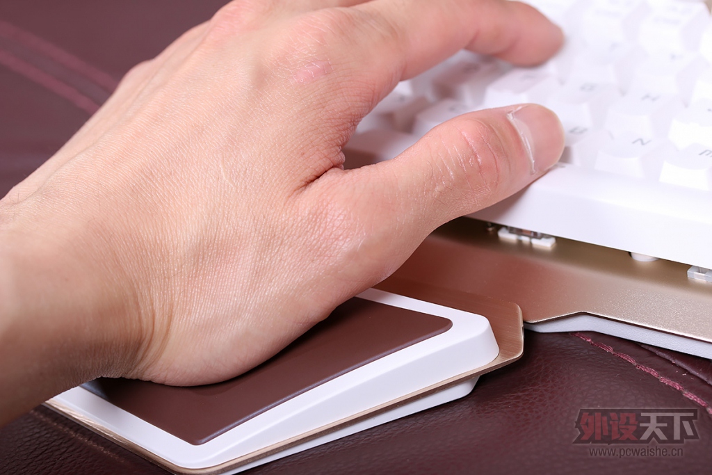 ��������������������ս�� CIY ���е���������棡