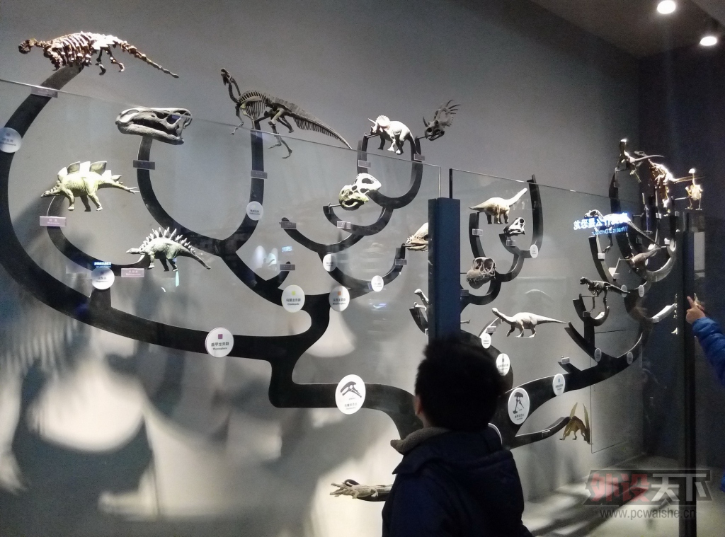 P51205-113457.jpg