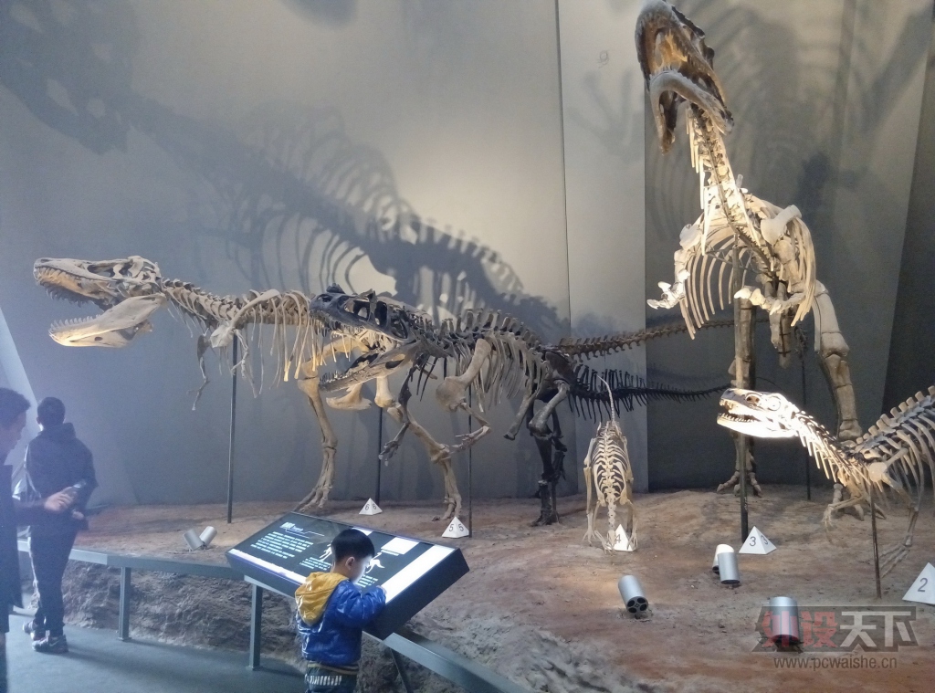 P51205-113827.jpg