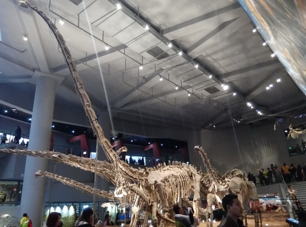 P51205-113913.jpg